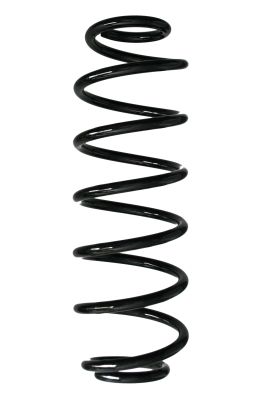 Arc spiral SPIDAN 88248