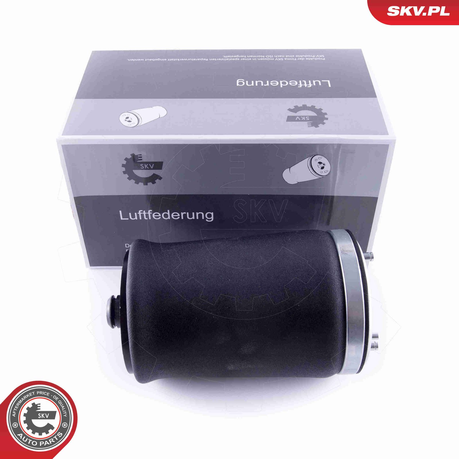 Pneimoatspere, Balstiekārta