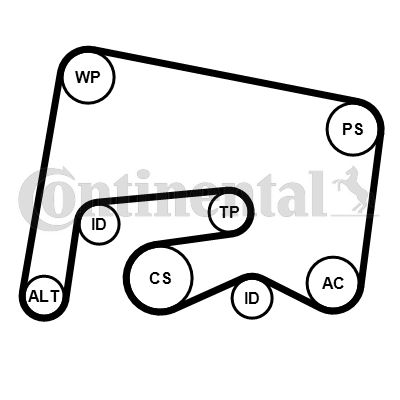 Zestaw paska klinowego wielorowkowego CONTINENTAL CTAM 6PK2155K1
