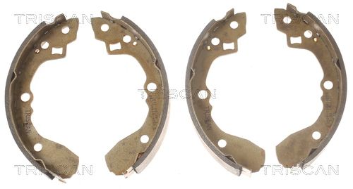 Zestaw szczęk hamulcowych TRISCAN 8100 18590