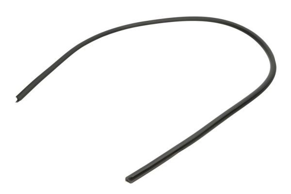 Elemente decorative/protectie, parbriz BLIC 5703-04-6037636Q