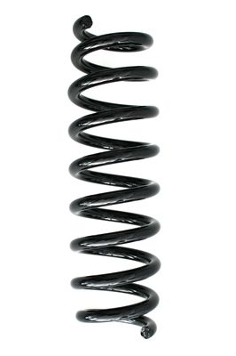 Arc spiral SPIDAN 86370