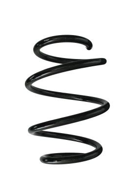 Arc spiral SPIDAN 87928