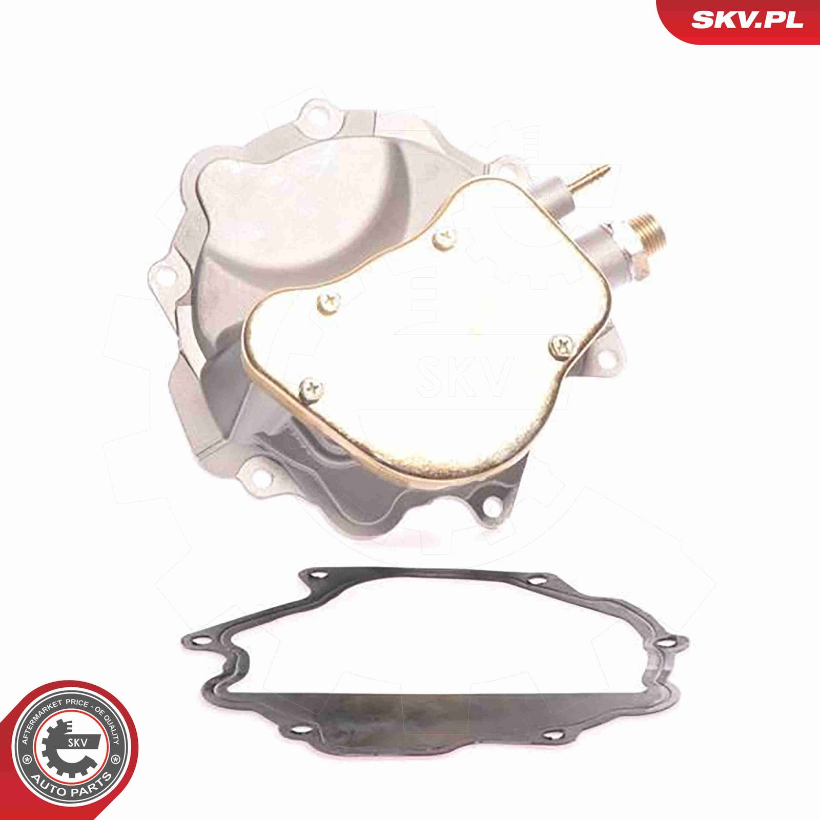 Вакуумный насос, тормозная система