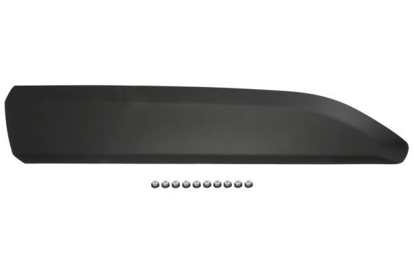 Elemente decorative/protectie, portiera BLIC 5703-04-0554572P