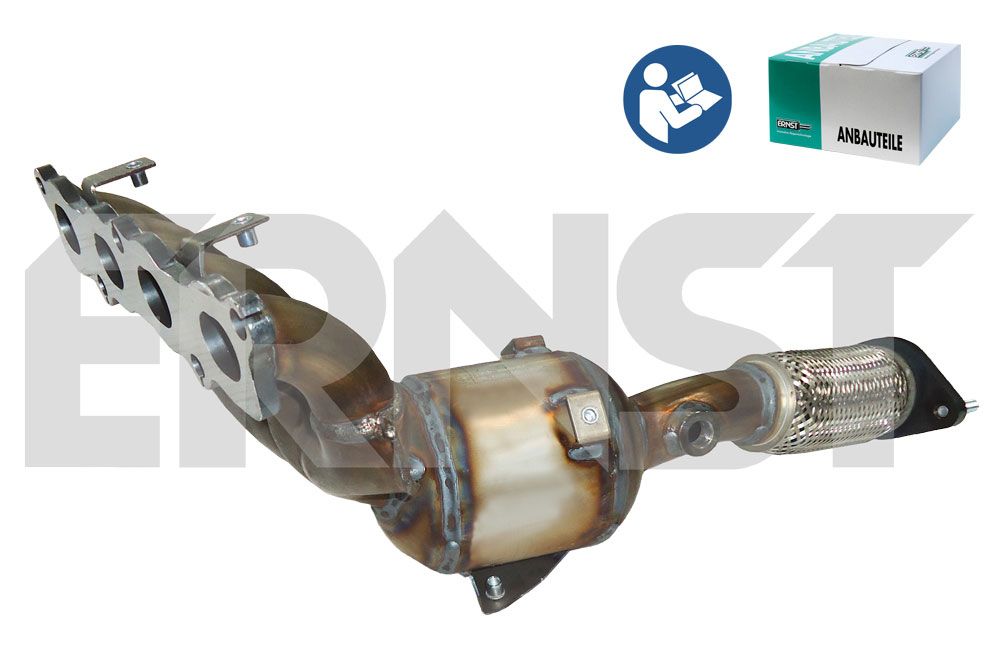 Catalizator ERNST 761062