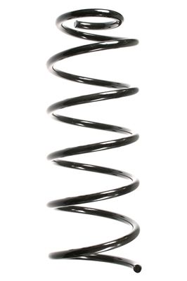 Arc spiral SPIDAN 55757