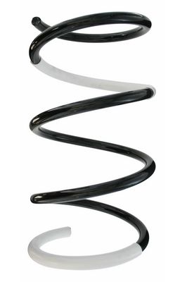 Arc spiral SPIDAN 87091