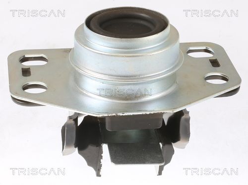 Łożyskowanie silnika TRISCAN 8505 25107