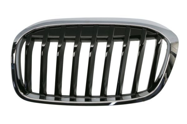 Grila radiator BLIC 6502-07-0071991P
