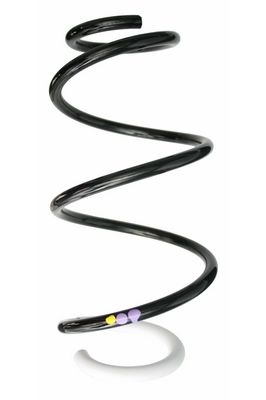 Arc spiral SPIDAN 87873