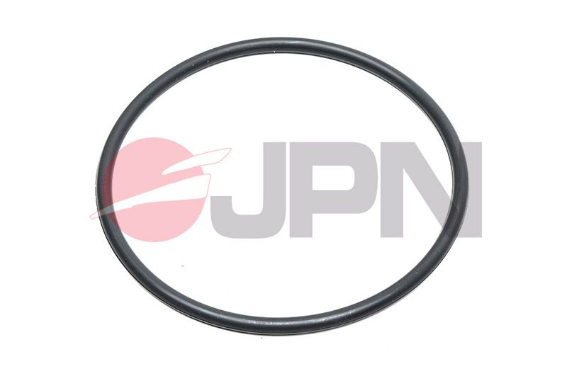 Těsnění, palivové čerpadlo JPN 20M0007-JPN