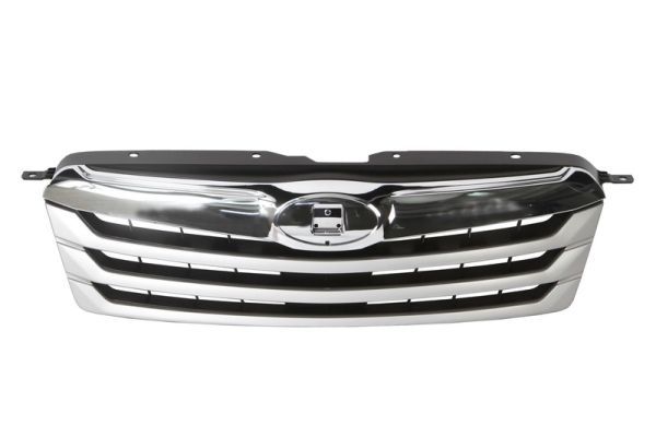 Grila radiator BLIC 6502-07-6715992P