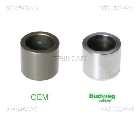 Tłoczek, zacisk hamulca TRISCAN 8170 233309