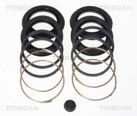 Zestaw naprawczy, zacisk hamulca TRISCAN 8170 204844