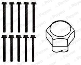 Zestaw śrub głowicy cylindrów PAYEN HBS051