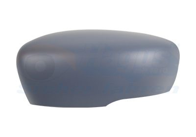 Pokrywa, zewnętrzne lusterko VAN WEZEL 4420843