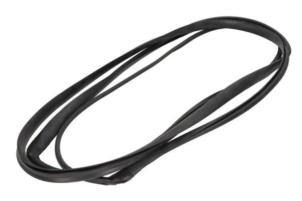 Garnitura, parbriz BLIC 5703-04-6037239Q
