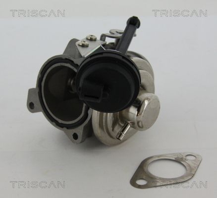 Levně AGR-Ventil TRISCAN 8813 29022