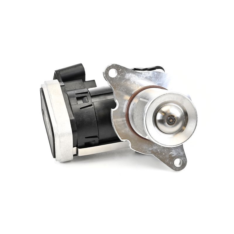 Izpl. gāzu recirkulācijas vārsts