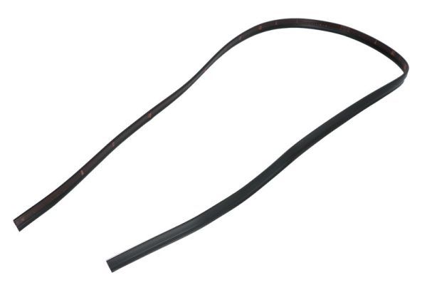 Elemente decorative/protectie, parbriz BLIC 5703-04-6037493Q