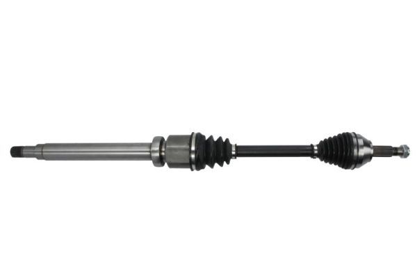 Set articulatie, planetara PASCAL G8G004PC