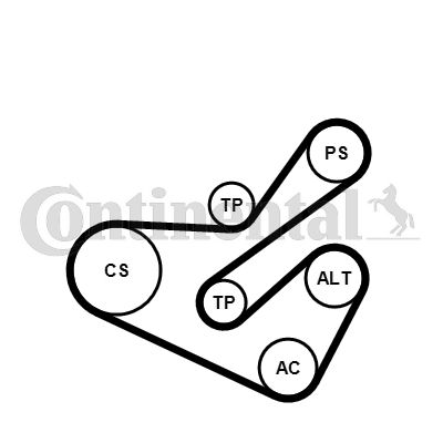 Zestaw paska klinowego wielorowkowego CONTINENTAL CTAM 6PK1740K1