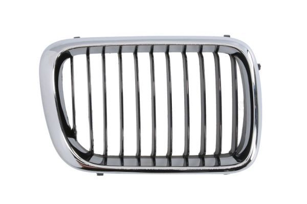 Grila radiator BLIC 6502-07-0060998P
