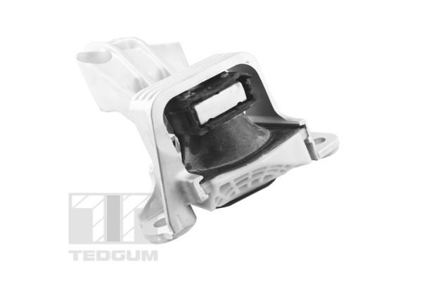 Łożyskowanie silnika TEDGUM TED81471
