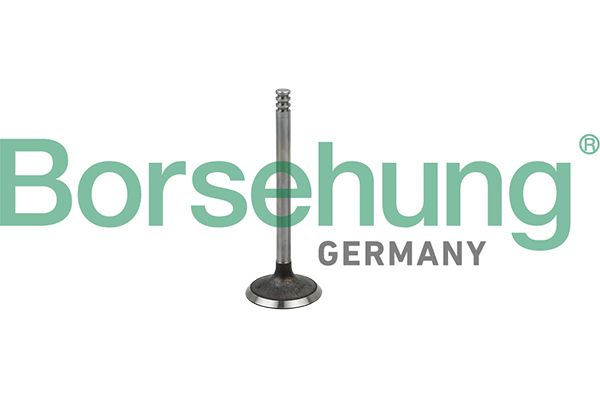 Supapa admisie BORSEHUNG B19029