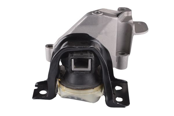 Suport motor TEDGUM TED60891