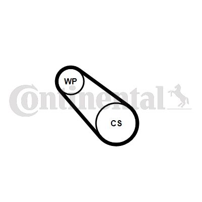Pompa wodna + zestaw paska klinowego wielorowkowego CONTINENTAL CTAM 3PK576 ELAST WP1