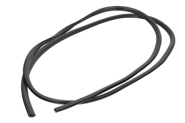 Garnitura, parbriz BLIC 5703-04-6037829Q