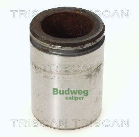 Tłoczek, zacisk hamulca TRISCAN 8170 234414