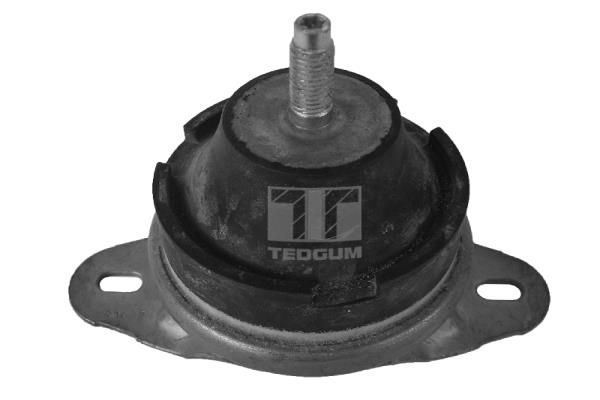 Łożyskowanie silnika TEDGUM 00514176