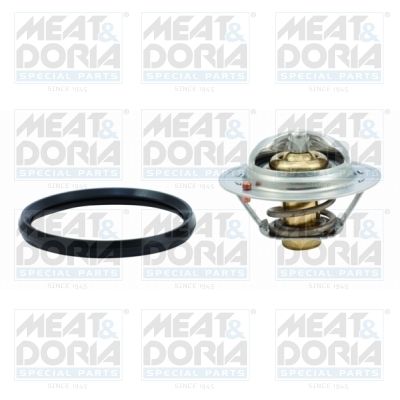 Termostat, środek chłodzący MEAT & DORIA 92631