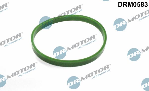 Těsnicí kroužek, hadice plnicího vzduchu Dr.Motor Automotive DRM0583