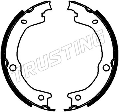 Zestaw szczęk hamulcowych, hamulec postojowy TRUSTING 253.788