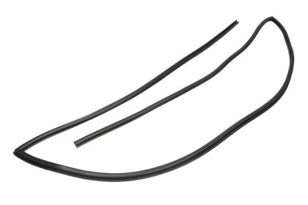 Elemente decorative/protectie, parbriz BLIC 5703-04-6037931Q