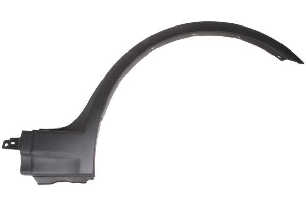 Ehis-/kaitseliist,Poritiib