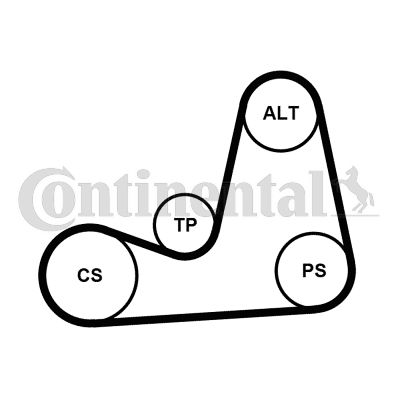 Zestaw paska klinowego wielorowkowego CONTINENTAL CTAM 5PK1110K2