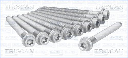 Zestaw śrub głowicy cylindrów TRISCAN 98-5504