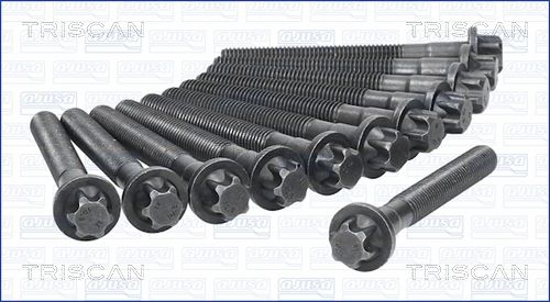 Zestaw śrub głowicy cylindrów TRISCAN 98-4123