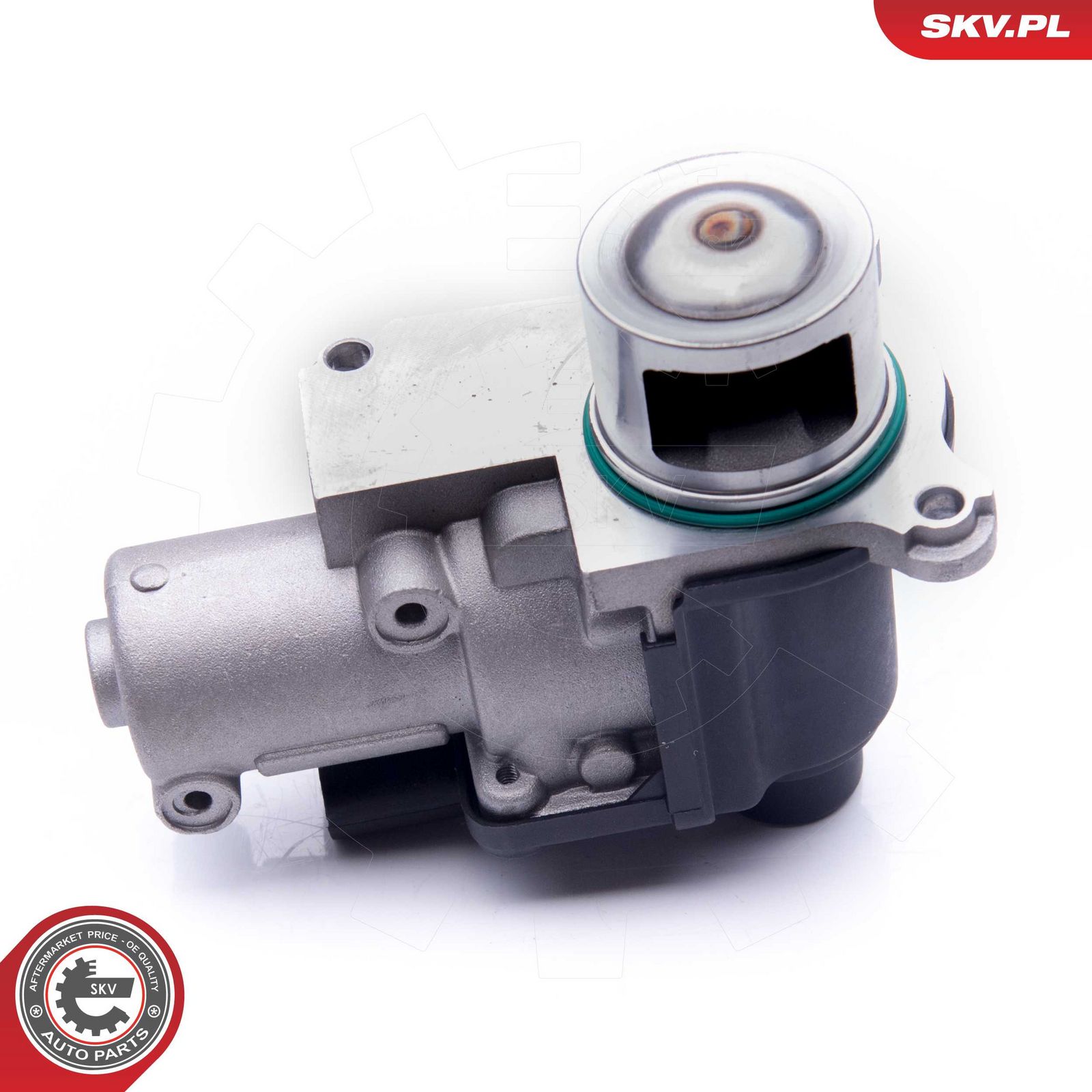 Levně AGR-Ventil ESEN SKV 14SKV170