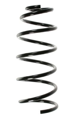 Arc spiral SPIDAN 49551