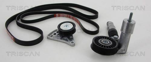 Zestaw paska klinowego wielorowkowego TRISCAN 8642 29008