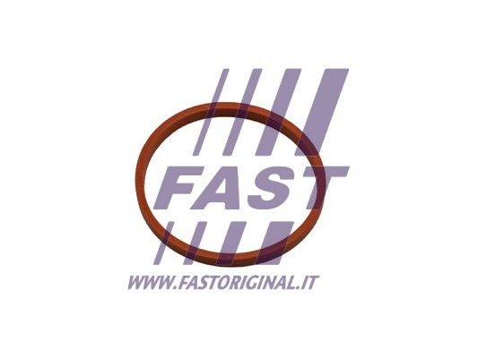 Pierścień uszczelniający, elast. przewód pow. do turbiny FAST FT48932