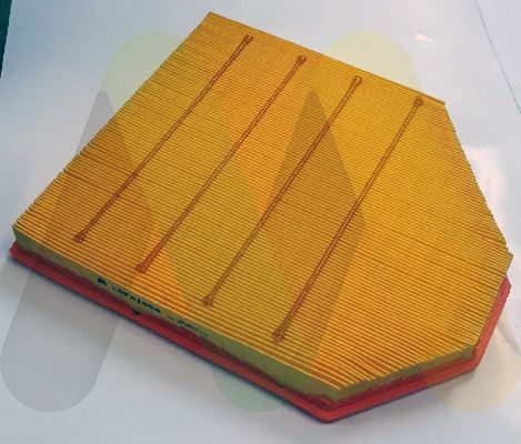 Filtru aer MOTAQUIP LVFA1604