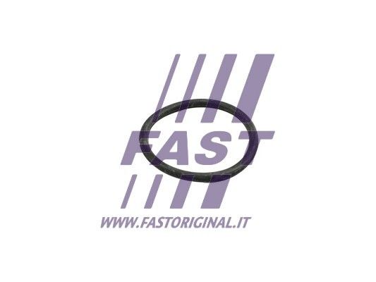 Uszczelka, rurka płynu chłodzącego FAST FT49918