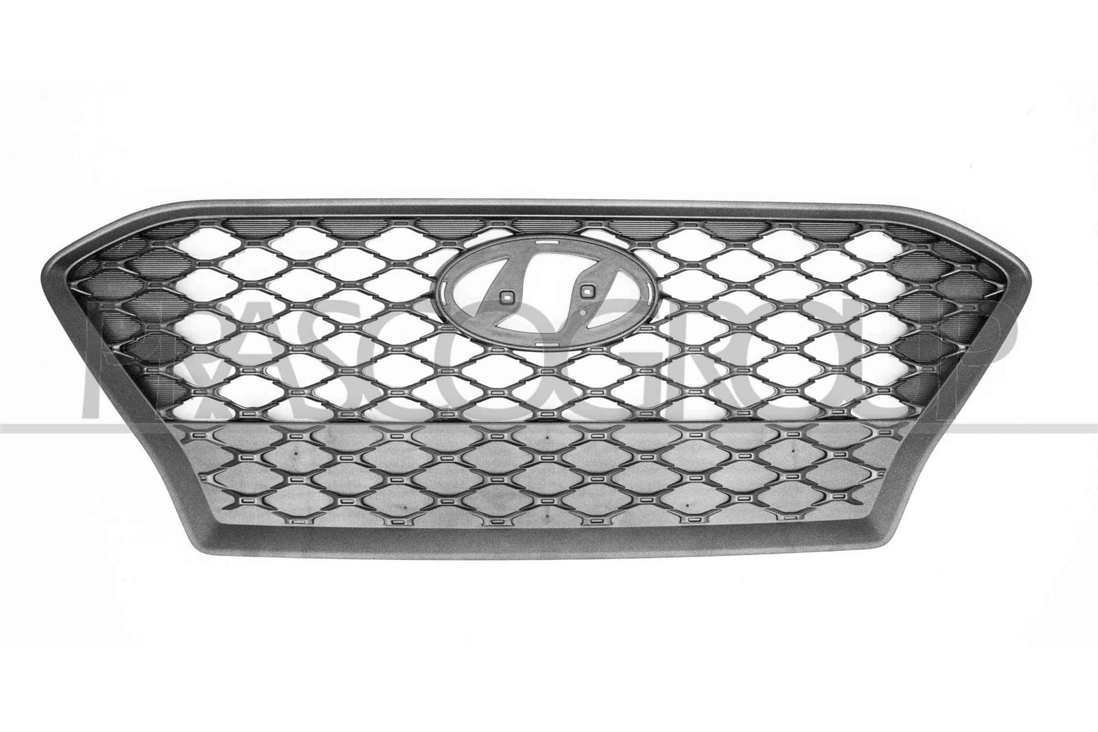 Grila radiator PRASCO HN4502001